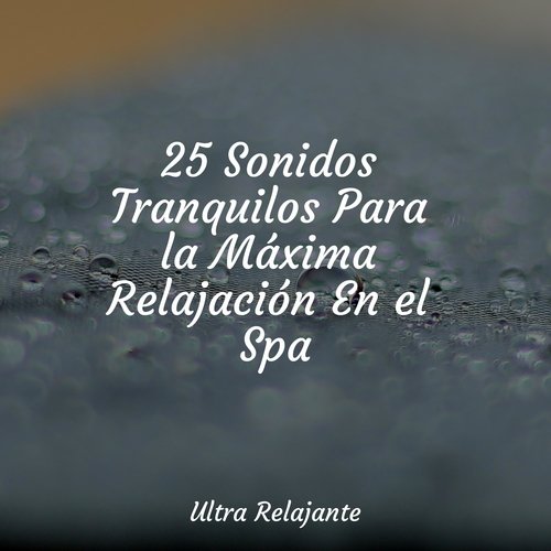 Canciones De Cuna cover art