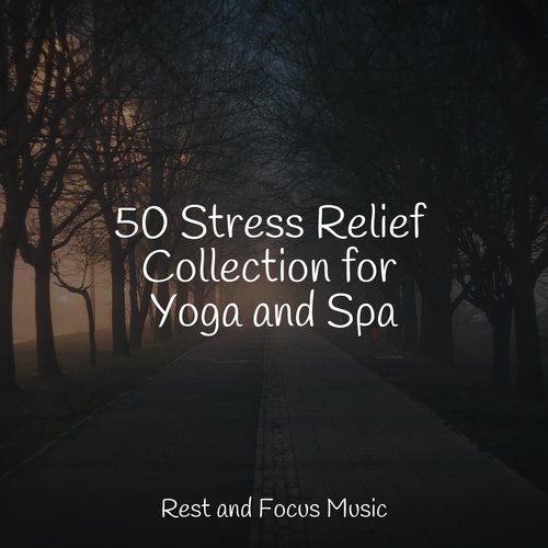 50 Stress Relief Collection for Yoga and Spa_poster_image