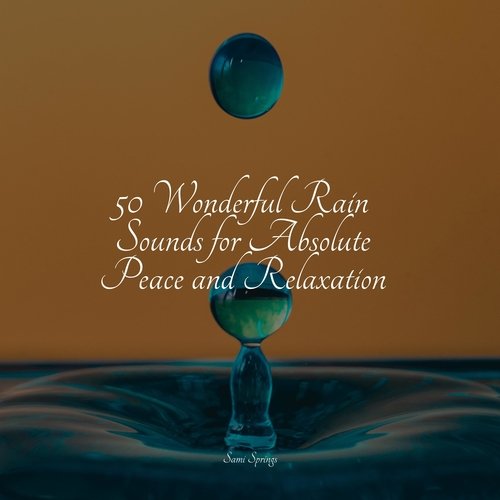 Rain, Storm and Thunder cover art