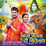 Baja Bajava Di Bholenath artwork