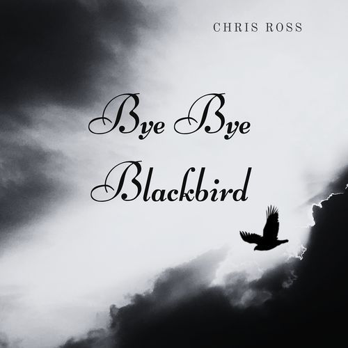 Bye Bye Blackbird