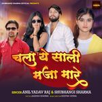 Chala Ye Sali Maja Maare