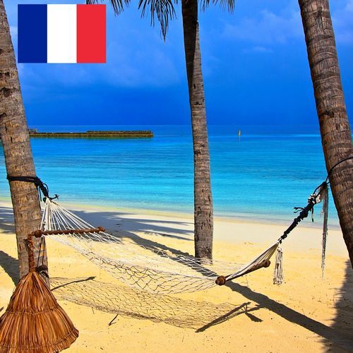 Dans un Hamac sur une Plage Tropicale