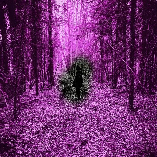 Destiny cover art