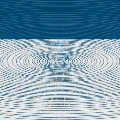 Different Types of Oval Shapes cover art