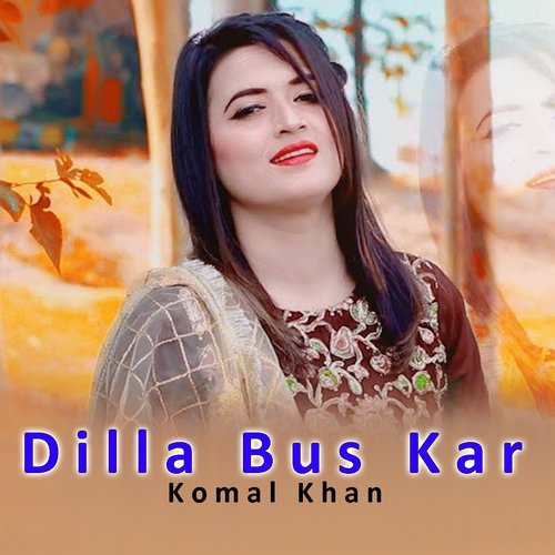 Dilla Bus Kar