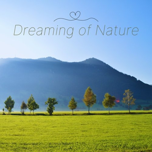 Dreaming of Nature: Soothing Music with Forest Sounds and Piano for Deep Sleep and Relaxation