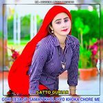 Gori Leja Sb Saman Khol Diyo Khoka Chore Me