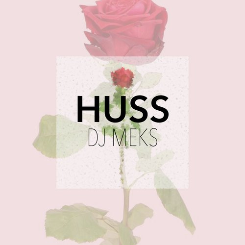 DJ Meks