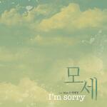 I'M SORRY (Feat. Tae Hae Young)
