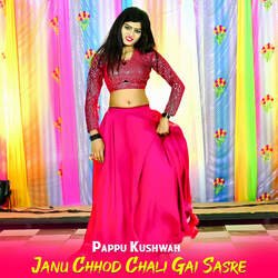 Janu Chhod Chali Gai Sasre-Gz04WSNnBlg