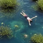 Judicious Insight in a World so Still