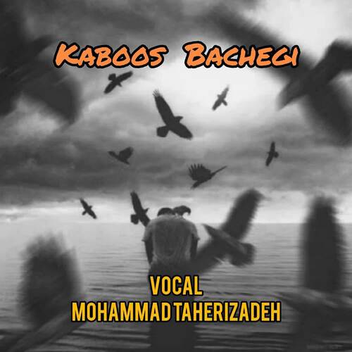 Kaboos Bachegi