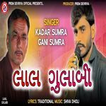 Lal Gulabi artwork