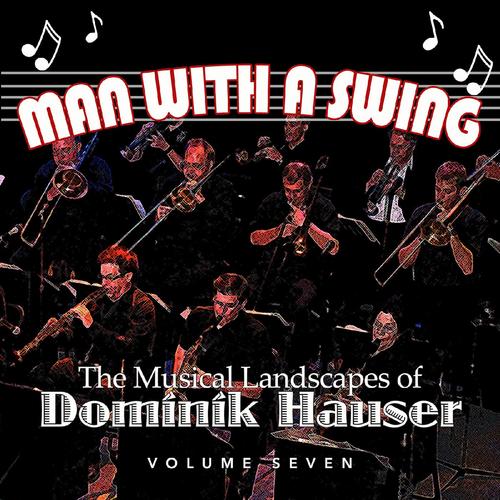 Man With a Swing: The Musical Landscapes of Dominik Hauser, Vol. 7_poster_image