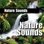 Nature Sound