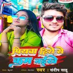 Piyawa Hero Se Kam Naikhe