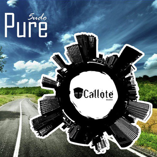 Pure cover art