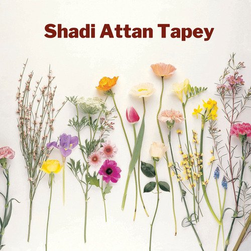 Shadi Attan Tapey