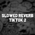Slowed Reverb TikTok 2 (Remix)