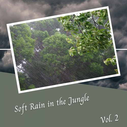 Soft Rain in the Jungle Vol. 2 - 2 Hours