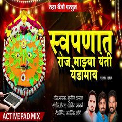 Swapnat Roj Mazya Yeti Yedamay