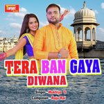Tera Ban Gaya Diwana