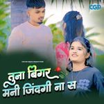 Tuna Bigar Mani Zindgi Na Sa