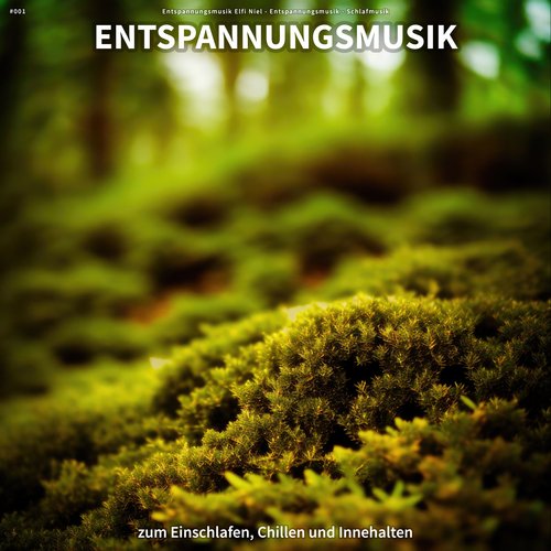 Entspannungsmusik cover art