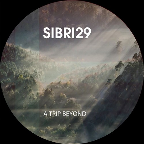 Sibri29