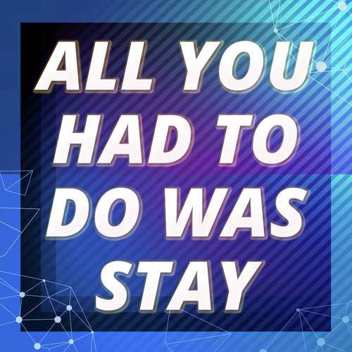 All You Had To Do Was Stay (A Tribute to Taylor Swift)