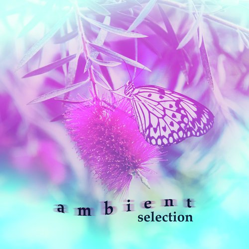 Ambient Selection