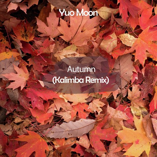 Glimpse of Us (Kalimba Remix)