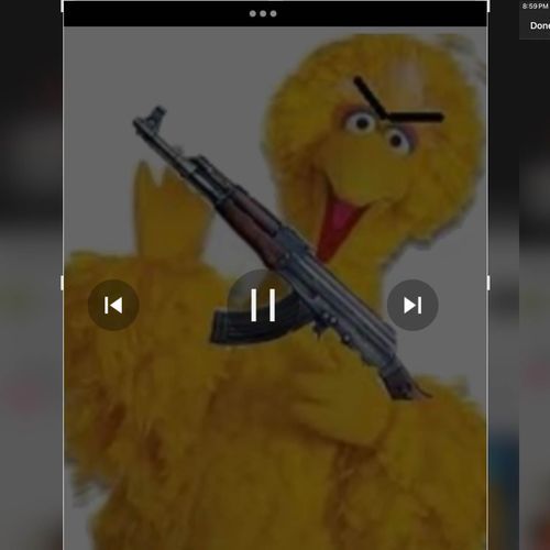 Big Bird_poster_image