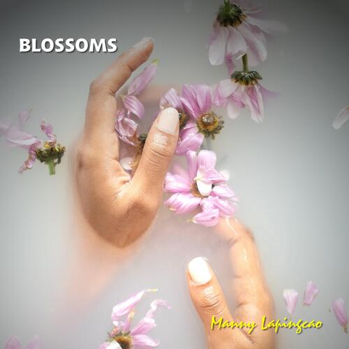 Blossoms cover art