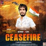 Ceasefire (Yudh Ko Viram Diya Hai)
