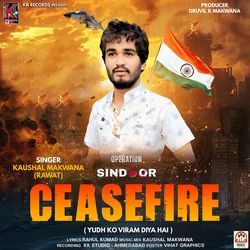 Ceasefire (Yudh Ko Viram Diya Hai)