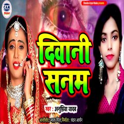 Diwani Sanam-NhkCRDxlaHg