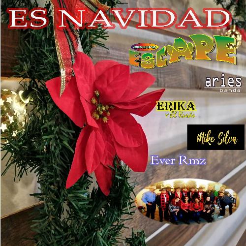 Es Navidad_poster_image