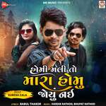 Homi Mali To Mara Homu Joyu Nai