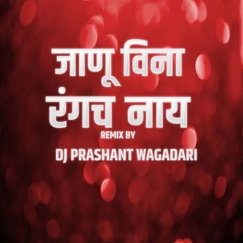Jaanu Vina Rangach Nay ( DJ PRASHANT WAGADARI )