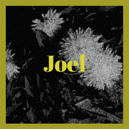 Joel cover art