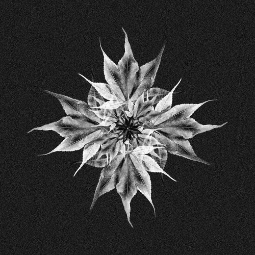 Kaede (Original Mix) cover art
