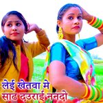 Lei Khetva Me Sandh Dauraai Nanado