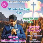 Mehaka Tere Pyar Diya