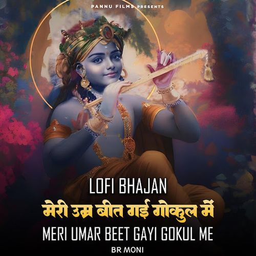 Meri Umar Beet Gayi Gokul Me (lofi remix)
