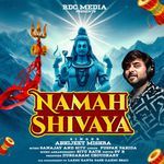 Namah Shivaya