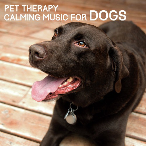 Pet Therapy - Calming Music for Dogs
