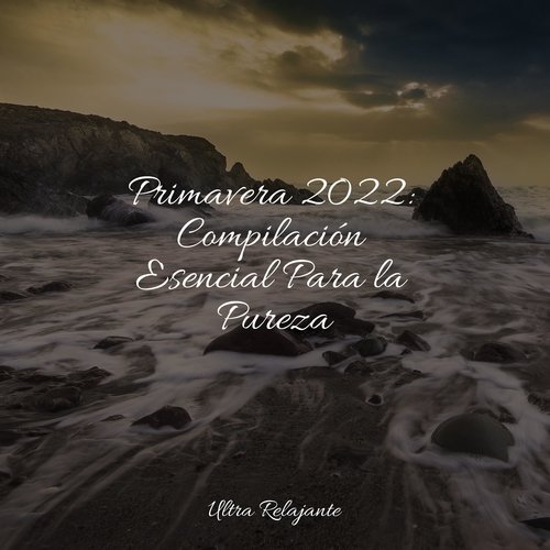 Primavera 2022: Compilación Esencial Para la Pureza_poster_image