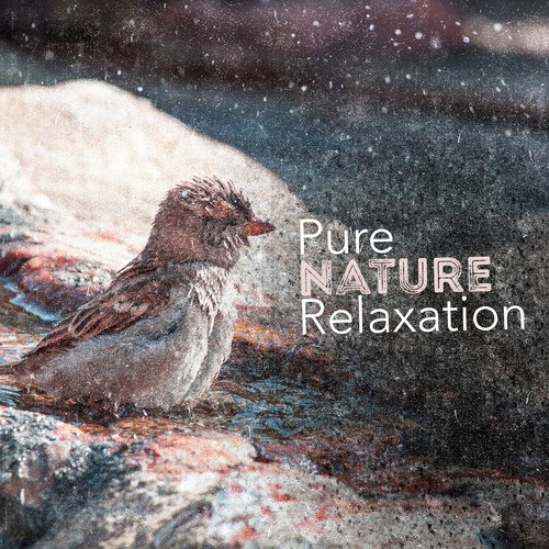 Pure Nature Relaxation